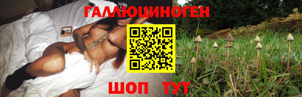 дарнет шоп  Псилоцибиновые грибы Magic Shrooms  Псилоцибиновые грибы ЛСД  Вход с VPN  Дербент 
